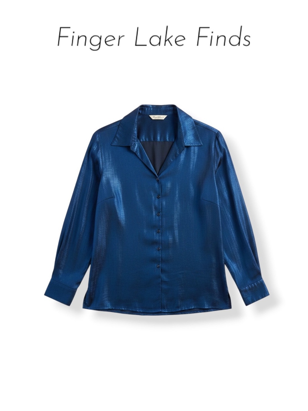 Fred David Vintage Iridescent Blue Blouse, 12